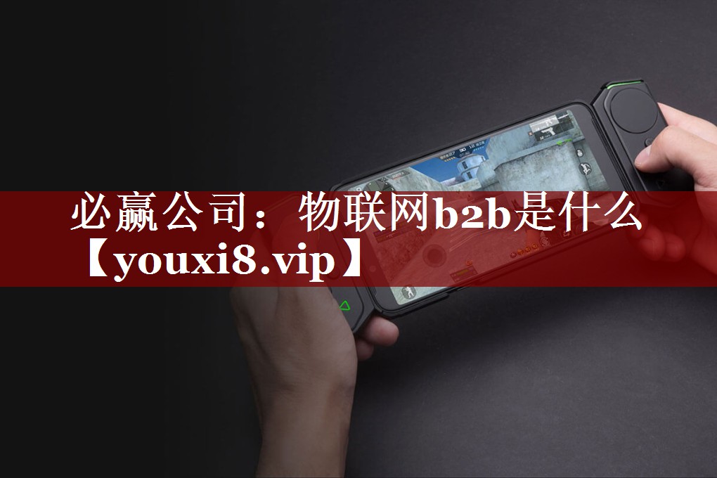 物联网b2b是什么