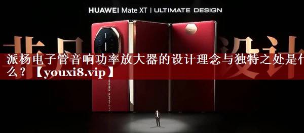 派杨电子管音响功率放大器的设计理念与独特之处是什么? 派杨电子管音响功率放大器的设计理念与独特之处是什么?