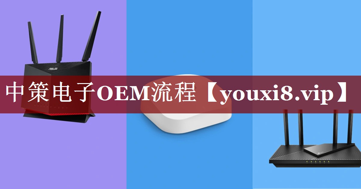中策电子OEM流程