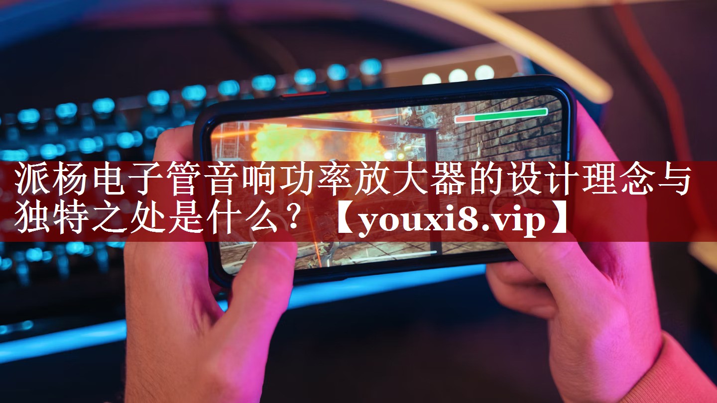派杨电子管音响功率放大器的设计理念与独特之处是什么? 派杨电子管音响功率放大器的设计理念与独特之处是什么?